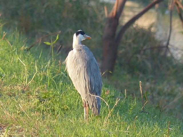 f0357487_2058880.jpg