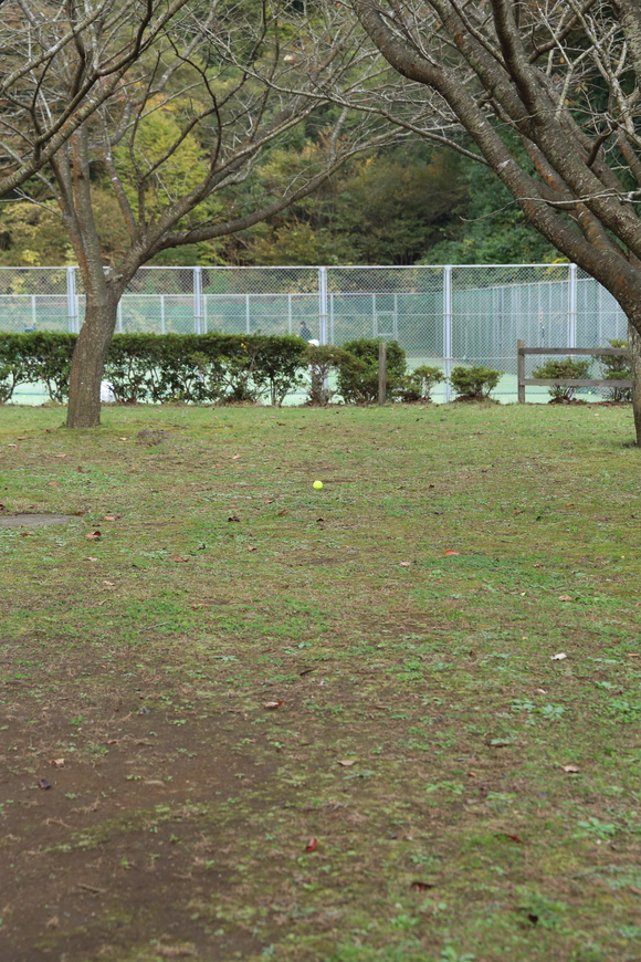 b0275998_1014296.jpg