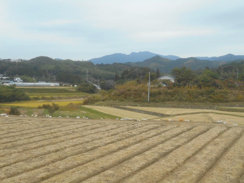 f0308898_10255888.jpg