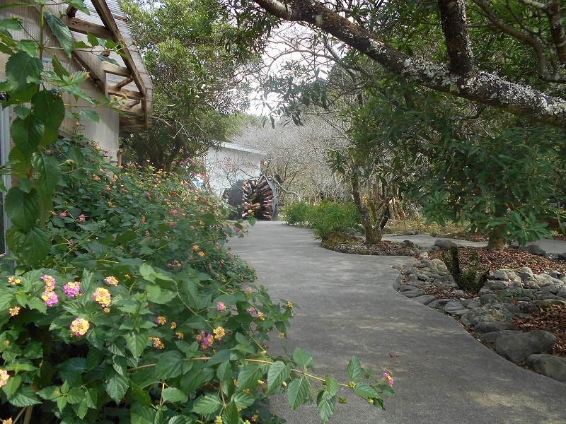 f0308898_10581813.jpg