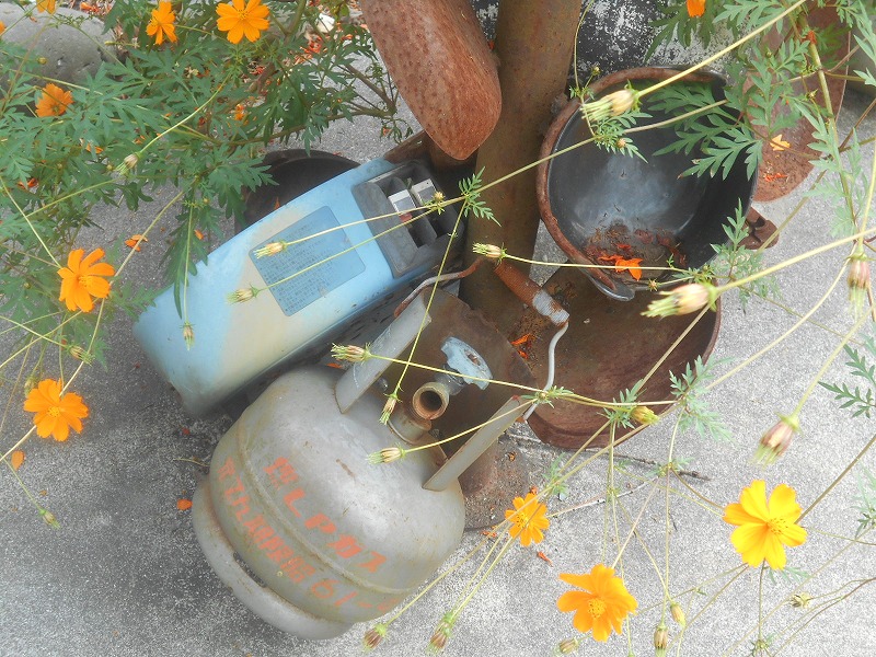 f0308898_1145013.jpg