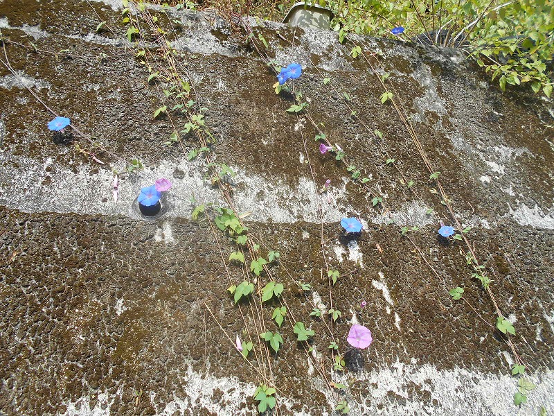 f0308898_117294.jpg