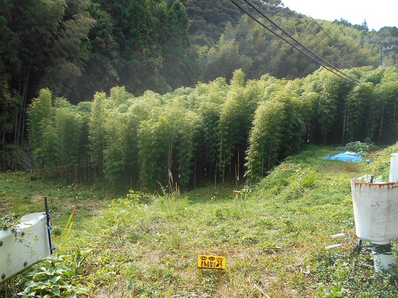 f0308898_117466.jpg