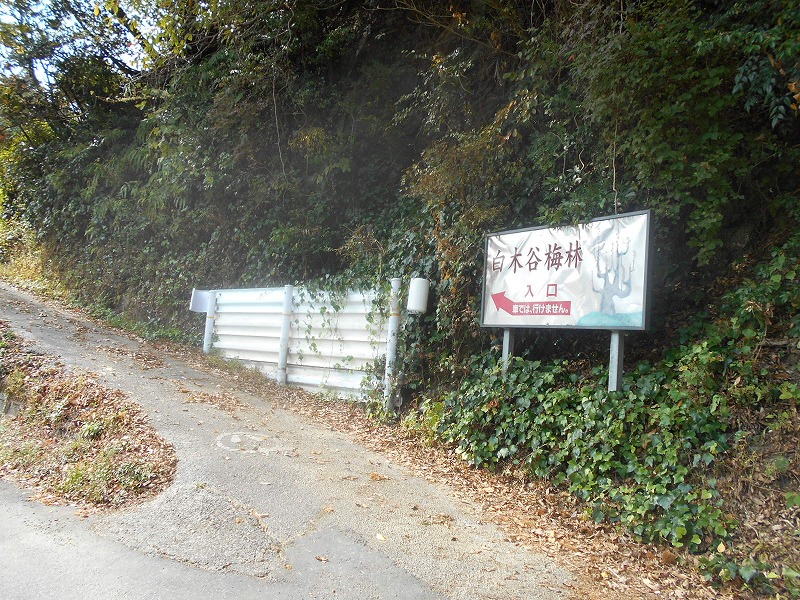 f0308898_118736.jpg