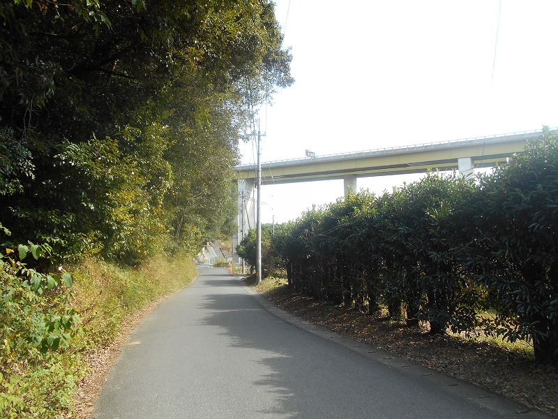 f0308898_119323.jpg