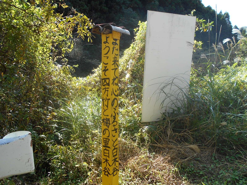f0308898_9573221.jpg