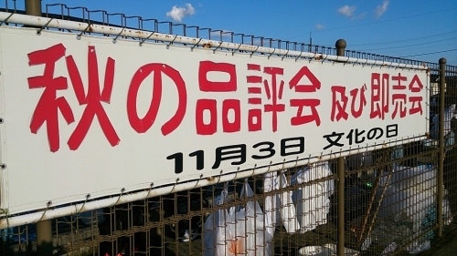 b0298605_17275728.jpg