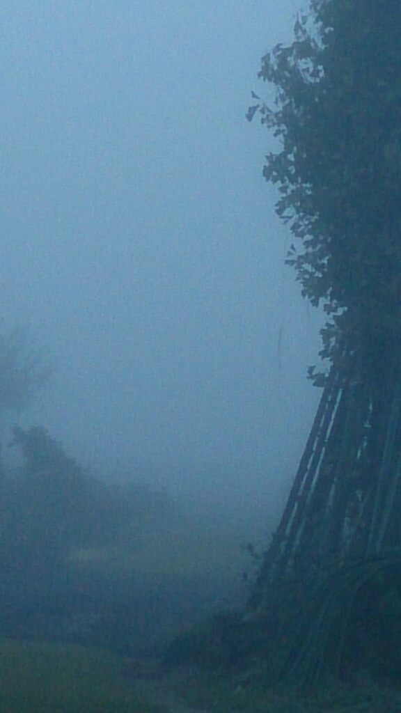 e0046305_18510901.jpg