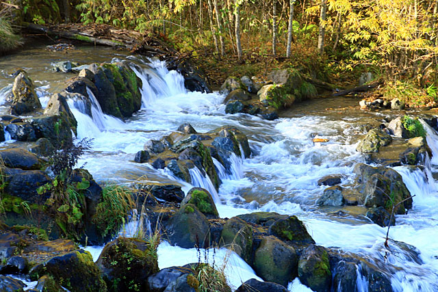 b0014607_21234013.jpg