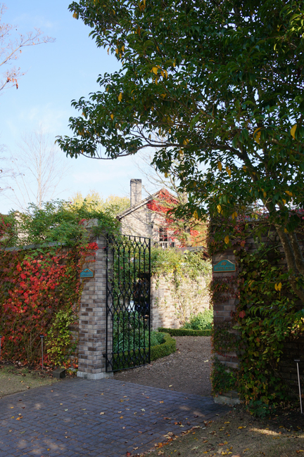 e0136511_1201612.jpg