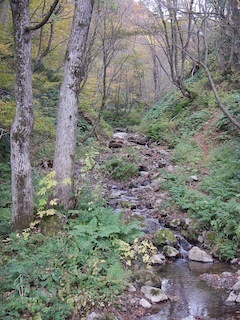 c0359615_20234868.jpg
