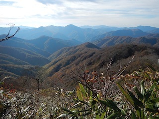 c0359615_20253400.jpg