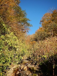 c0359615_20262532.jpg