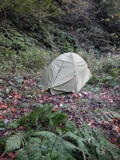 c0359615_20271565.jpg