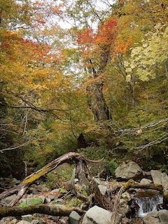 c0359615_20282993.jpg