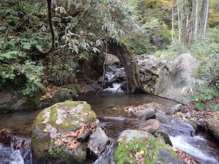c0359615_20284493.jpg