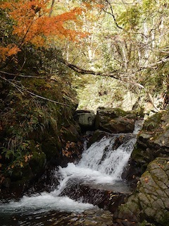 c0359615_20285572.jpg