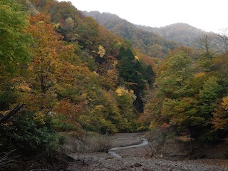 c0359615_20293146.jpg