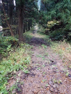 c0359615_20294605.jpg