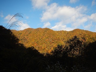 c0359615_20305790.jpg