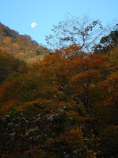 c0359615_20312019.jpg