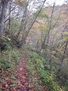 c0359615_20313407.jpg