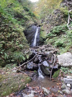 c0359615_20330014.jpg