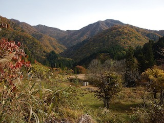 c0359615_23481855.jpg