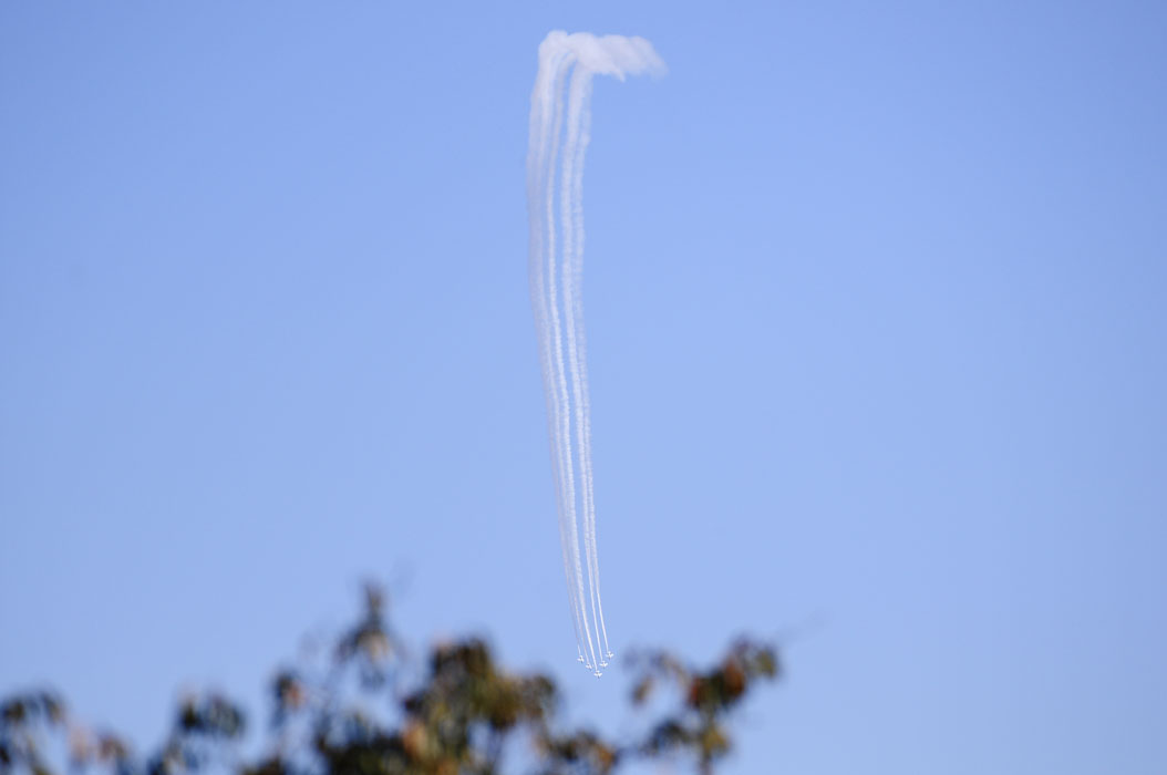 f0206417_17123663.jpg
