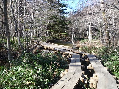 c0227720_152269.jpg