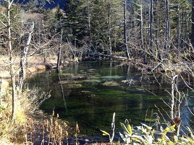 c0227720_16109.jpg