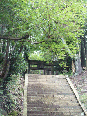e0312121_20374476.gif