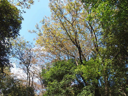 e0312121_2046573.gif