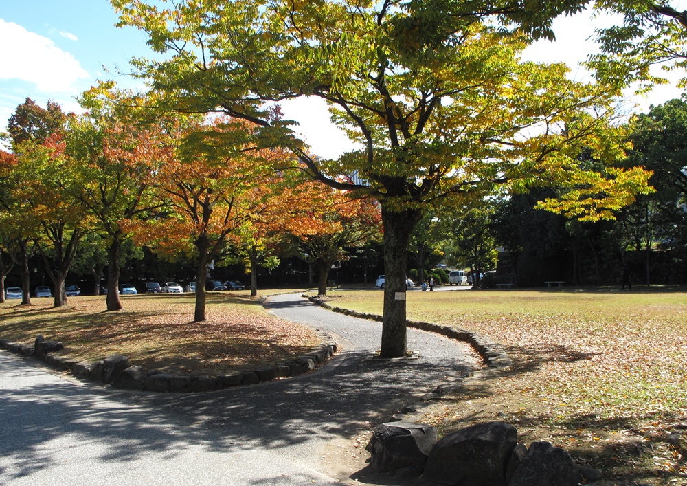 f0310221_9494565.jpg