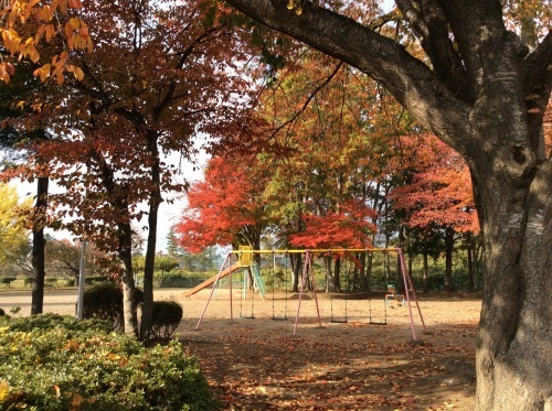 c0364428_02351532.jpg