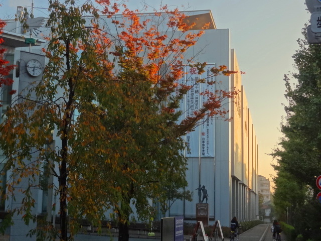 e0016828_11471658.jpg