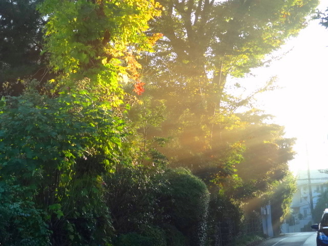 e0016828_11472482.jpg