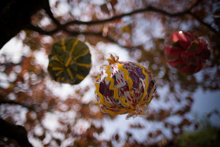 b0134829_14125648.jpg