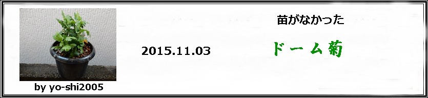 e0033229_20465676.jpg