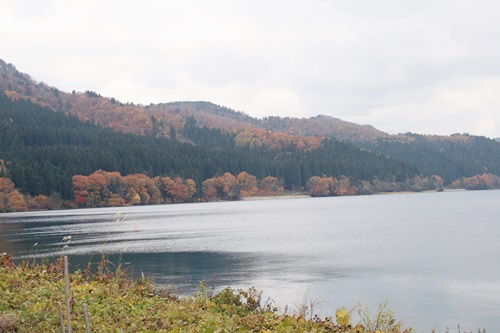 e0196130_207069.jpg