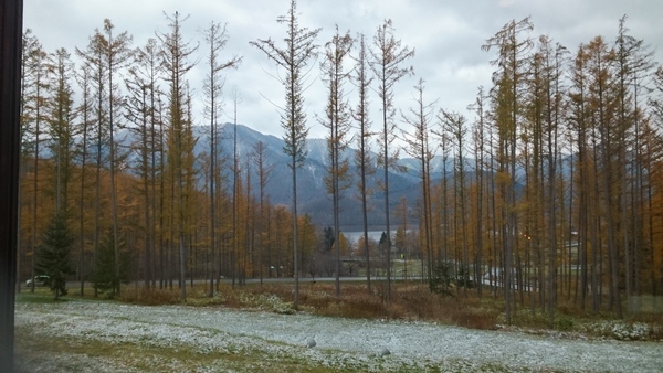 c0229433_17525521.jpg