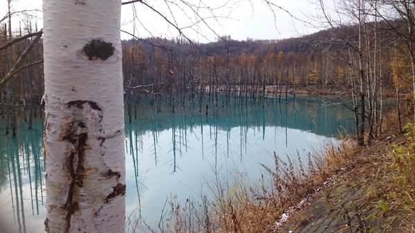 c0229433_1863255.jpg
