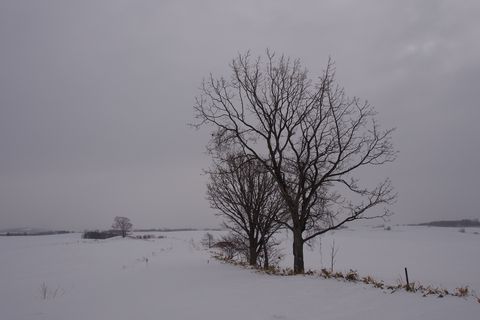 b0042334_9482294.jpg