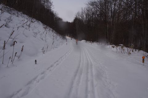 b0042334_9483975.jpg