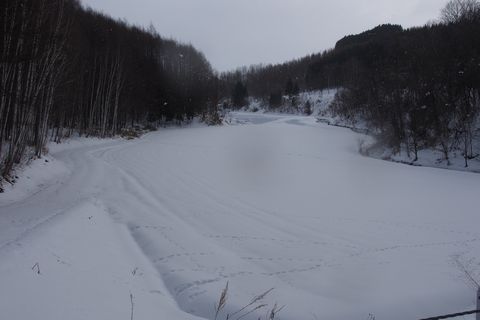 b0042334_9484932.jpg