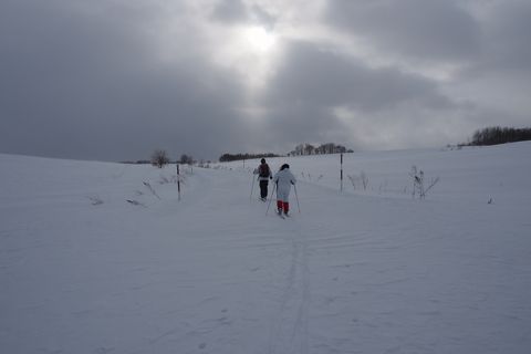 b0042334_9491054.jpg