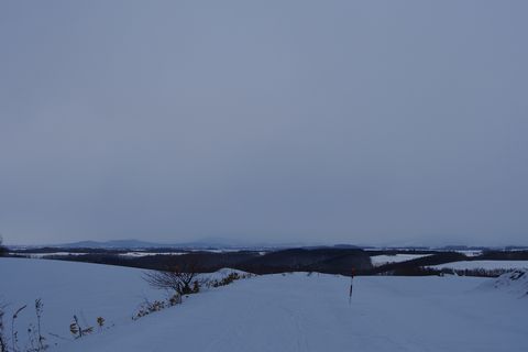 b0042334_9492035.jpg