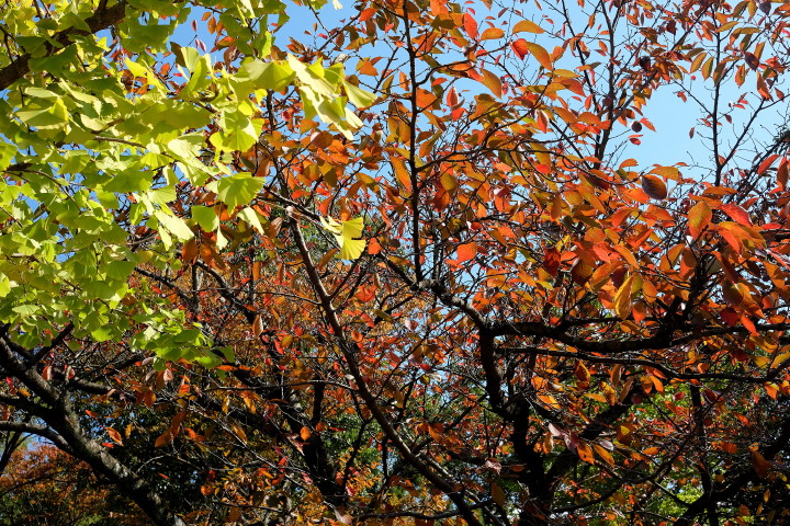 d0241937_17144471.jpg