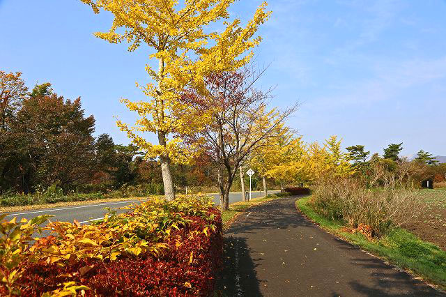 a0242438_18341987.jpg