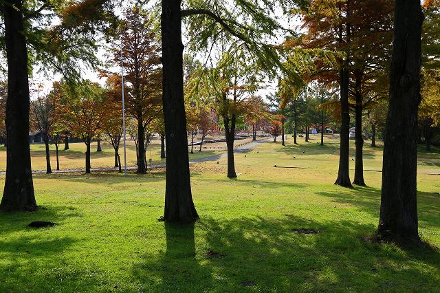 a0242438_18352470.jpg